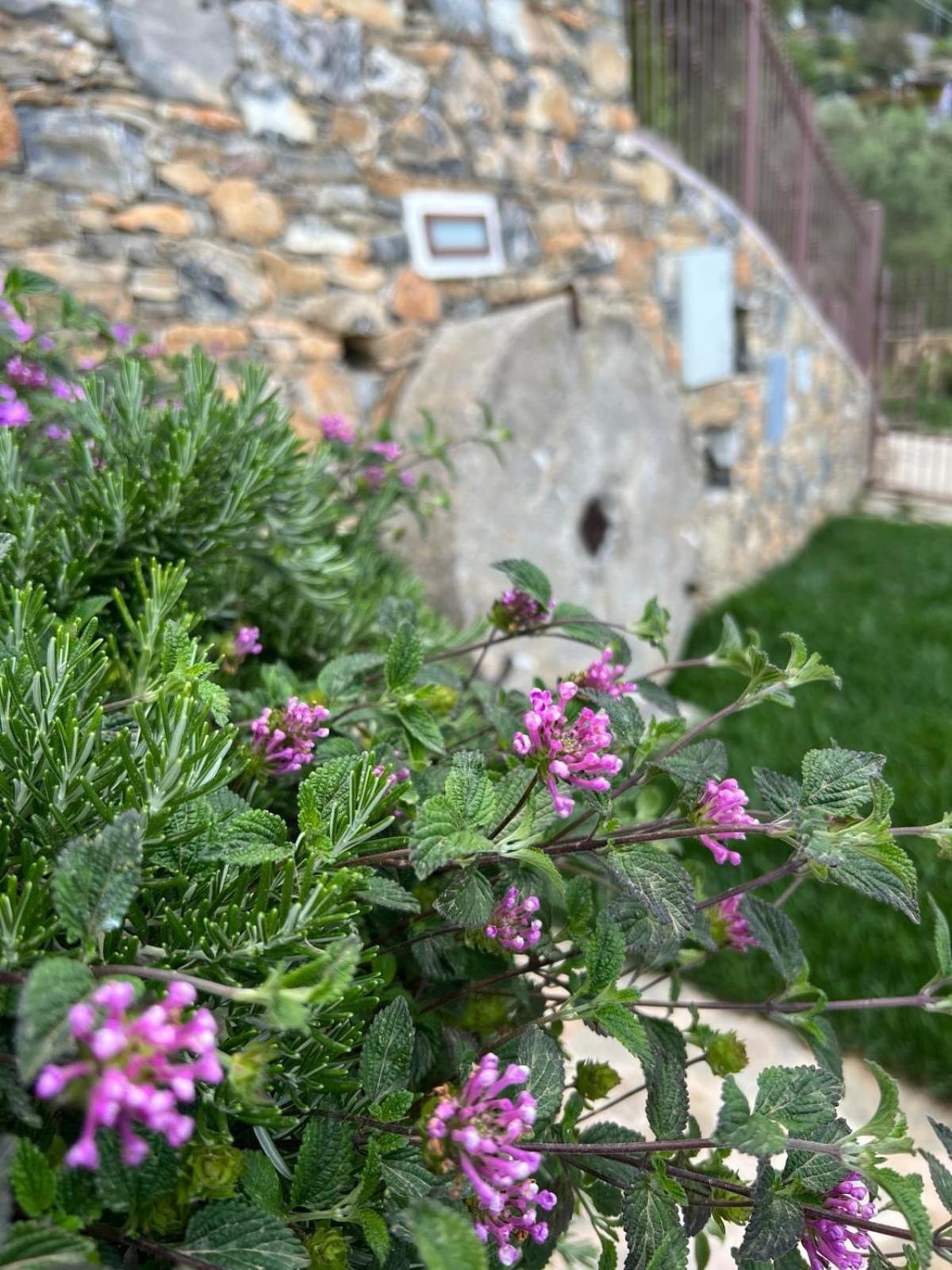 Bluvari' Charming House Alassio