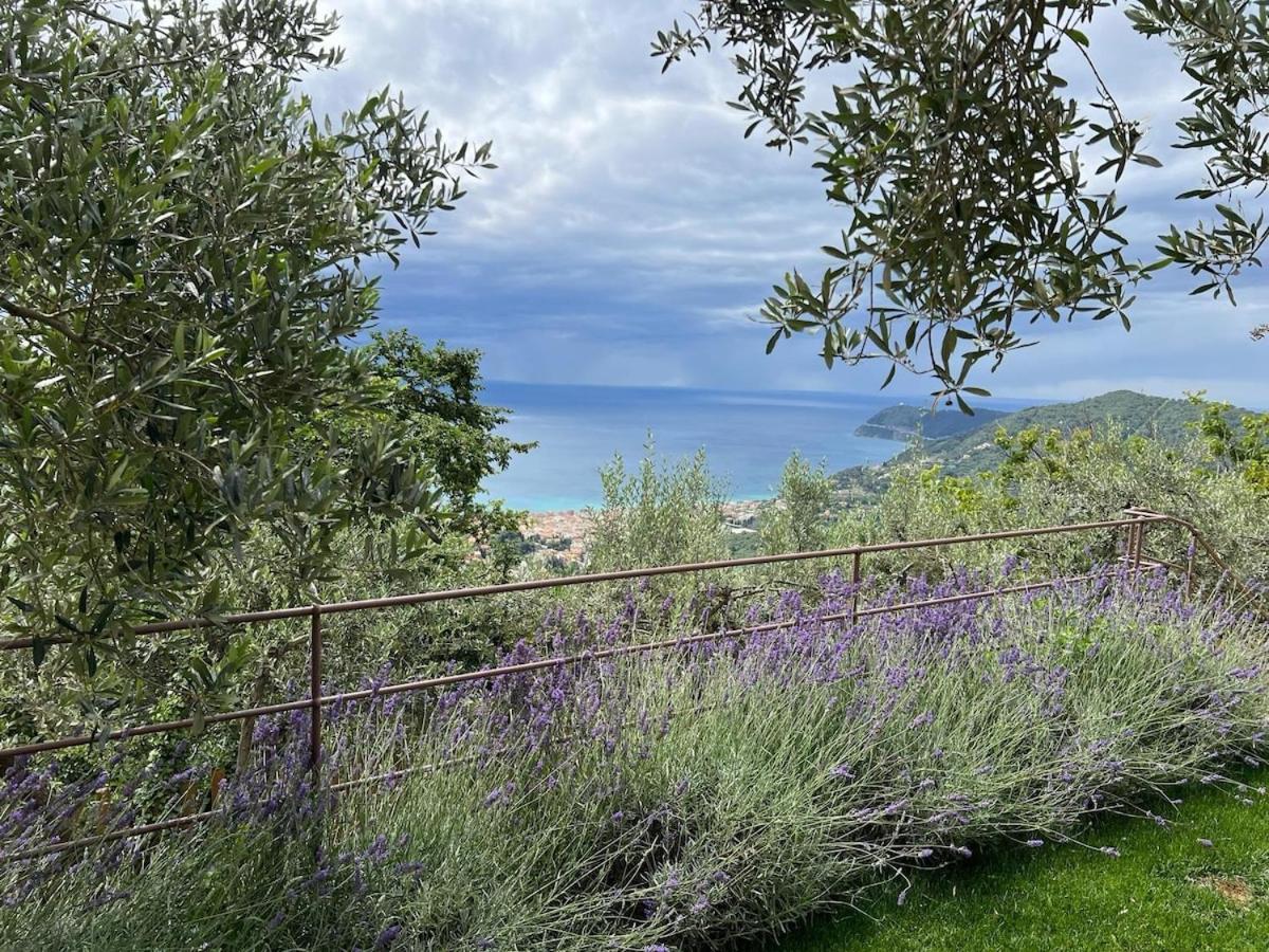 Bluvari' Charming House Villa