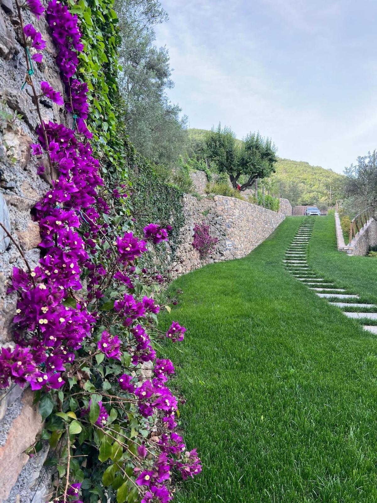 Bluvari' Charming House Villa *
